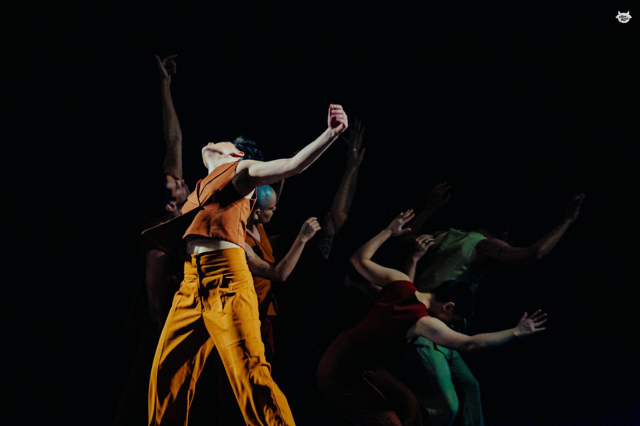 A nova montagem é uma recriação dramatúrgica e coreográfica de Vanessa Macedo e parte do mesmo tema da obra anterior: a violência de gênero.