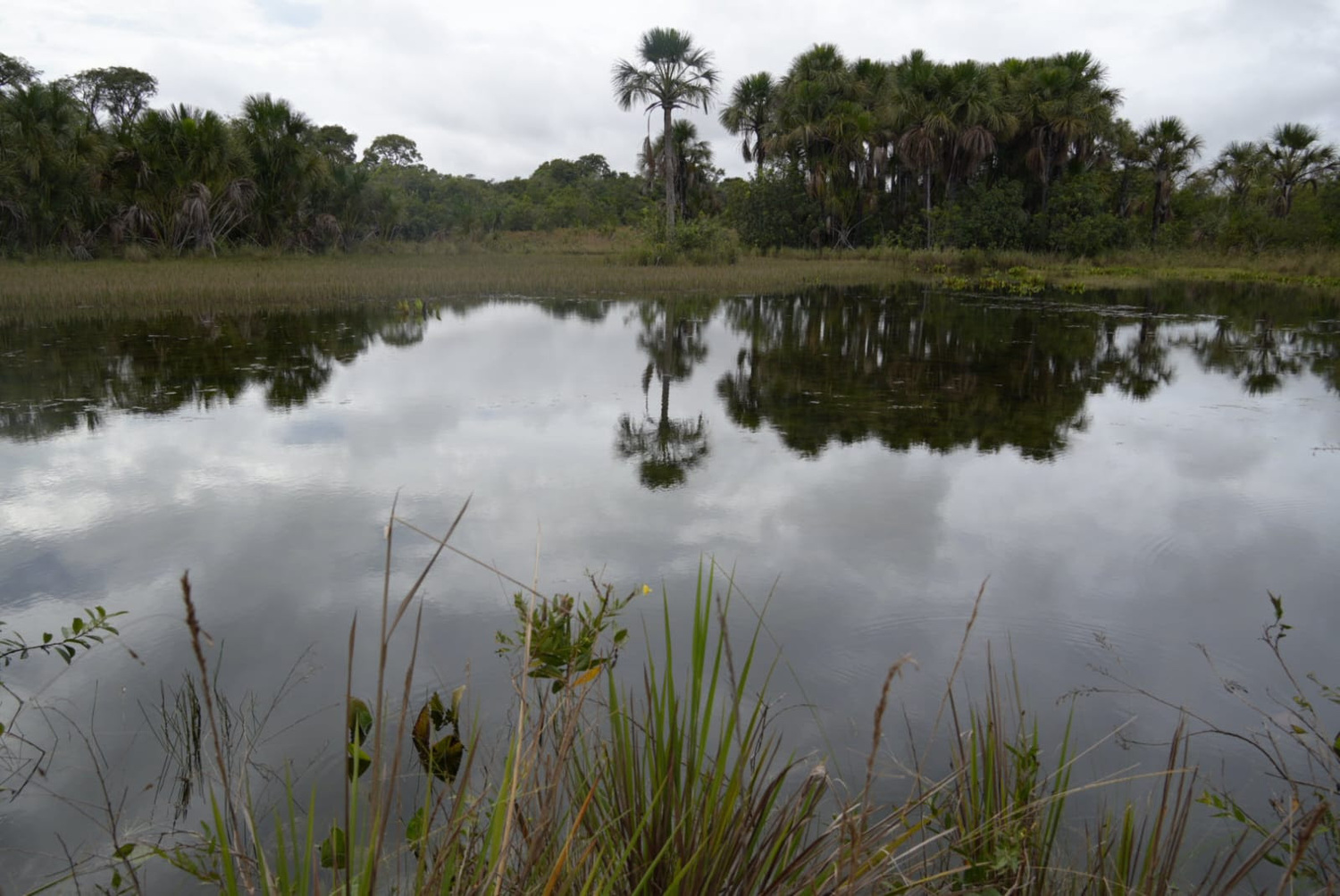 Fim do PSA na Bacia do Guariroba ameaça preservação ambiental e segurança hídrica de Campo Grande