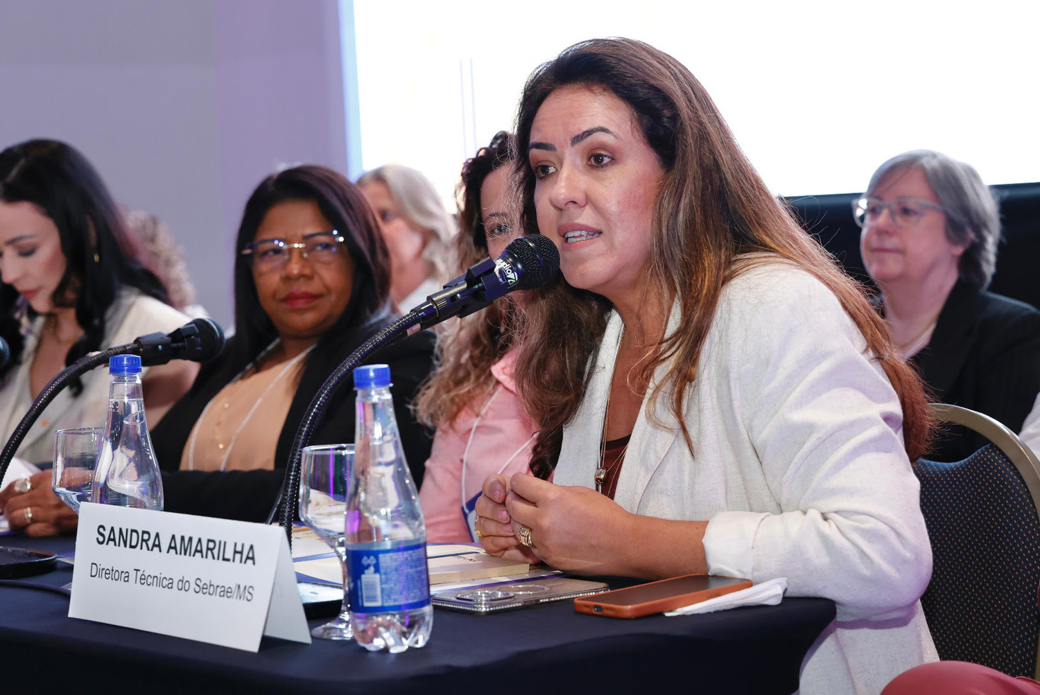 Sandra Amarilha, Diretora-técnica do Sebrae/MS, destaca a importância da conexão de lideranças públicas com a política