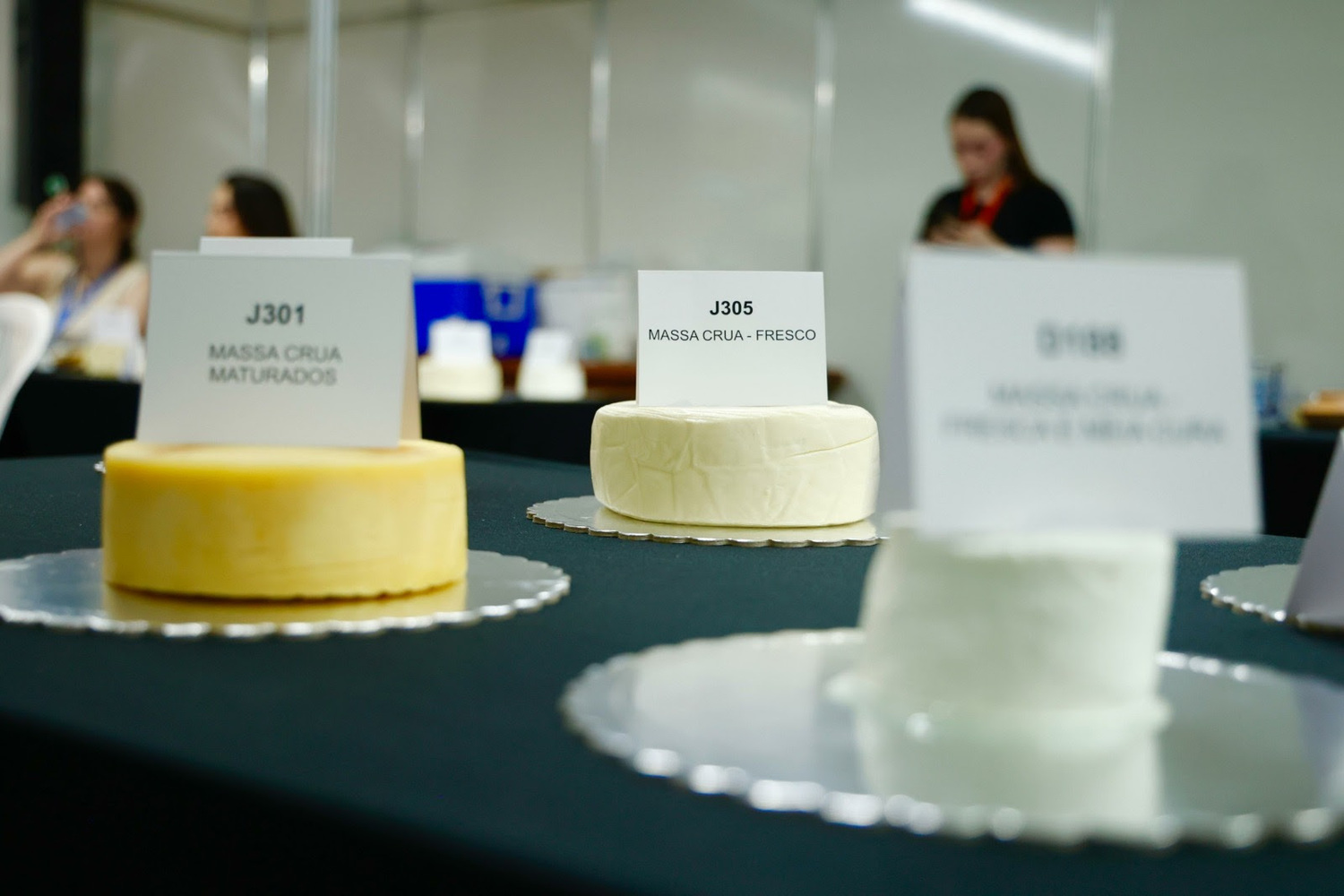 Queijos artesanais inscritos no concurso são de diferentes tipos de massa e tempo de maturação.