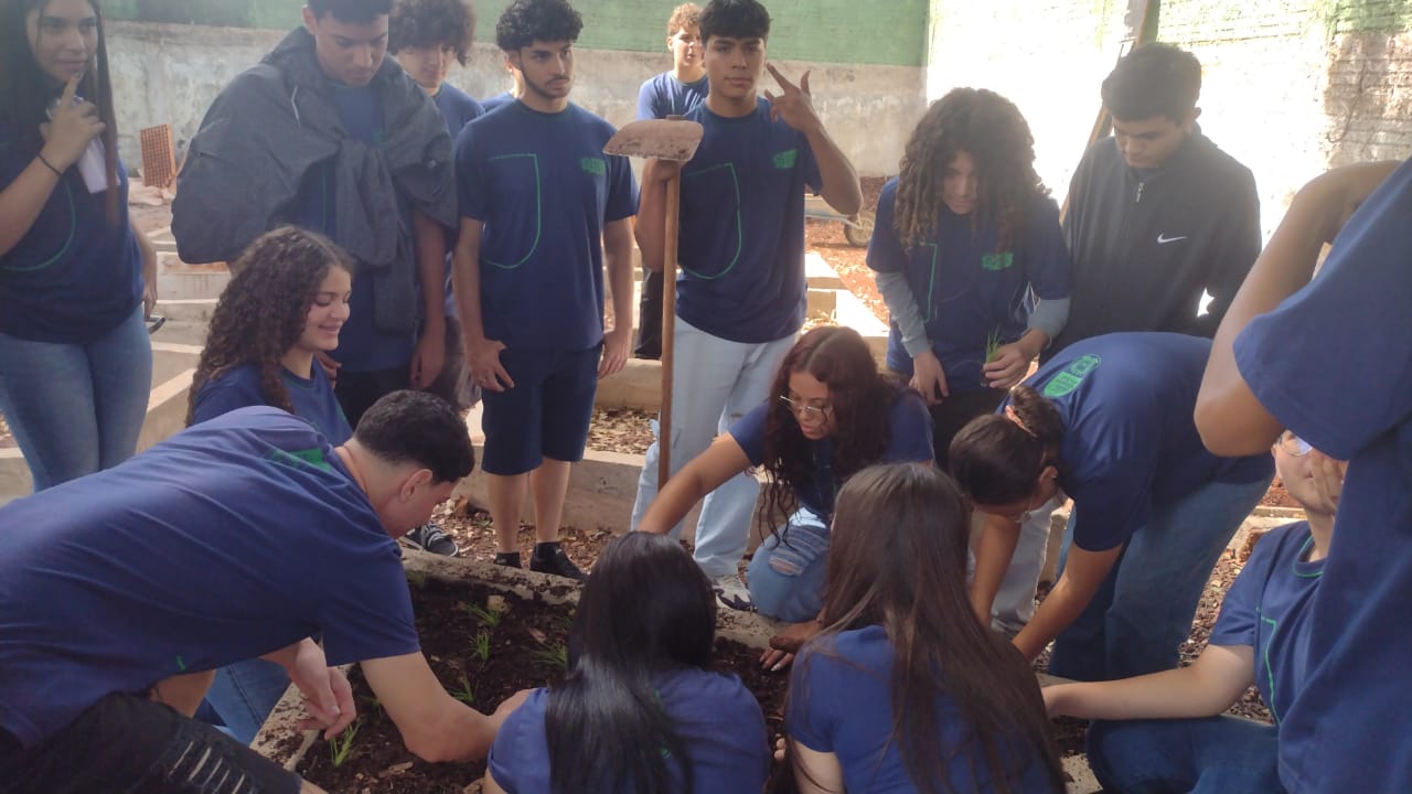 estudantes do ensino médio estão vendo a matemática brotar no quintal da sala de aula
