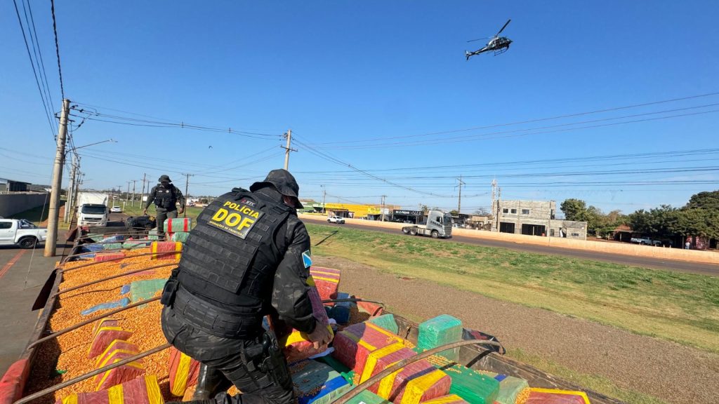DOF apreende mais de 15 toneladas de maconha escondidas em carga de milho em MS