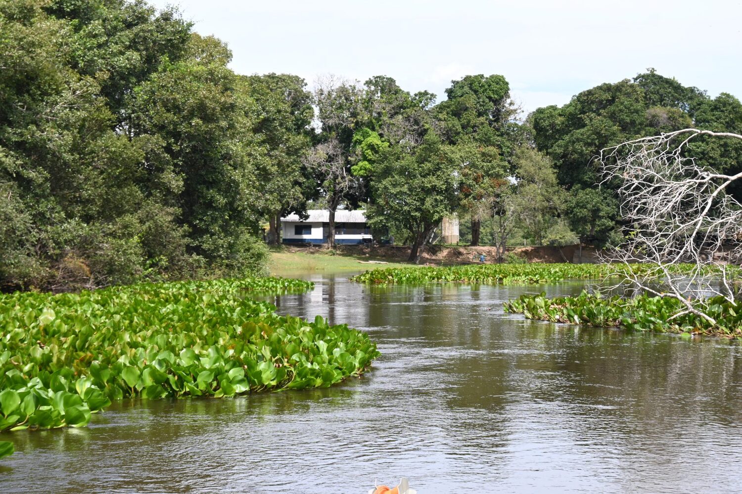 Monitoramento constante dos rios ajuda a prevenir impactos da estiagem e orientar ações de segurança hídrica em Mato Grosso do Sul