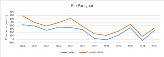 O rio Paraguai, um dos mais importantes do Pantanal, tem papel vital para o equilíbrio ecológico da região e é acompanhado de perto pelo Imasul