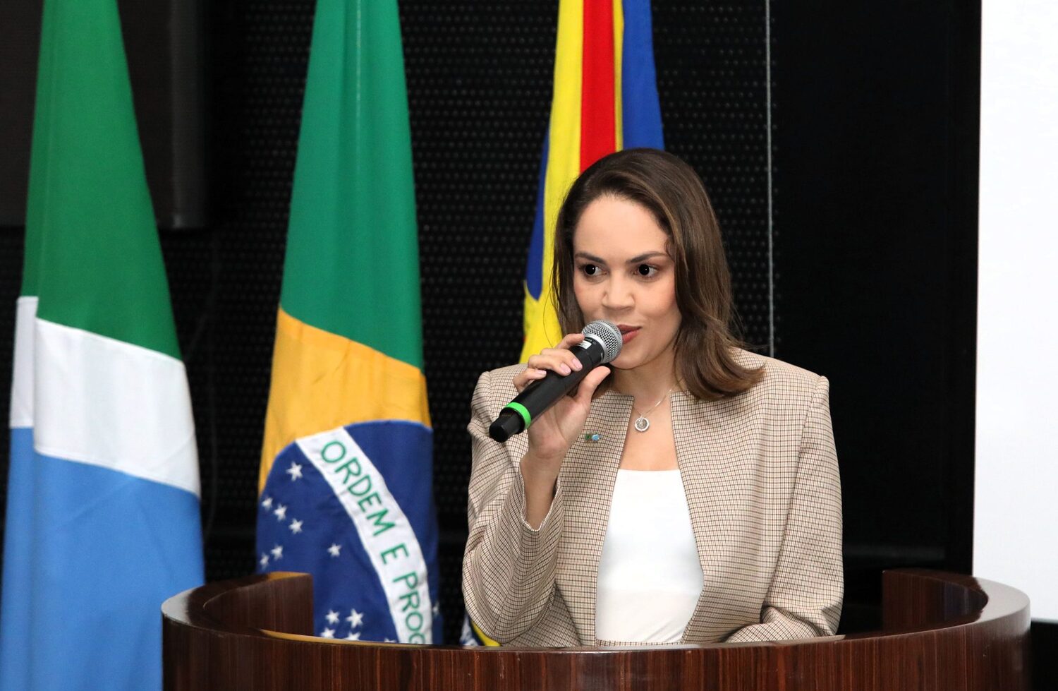Danielle Bueno apresenta proposta para atendimento humanizado e bilíngue às comunidades indígenas
