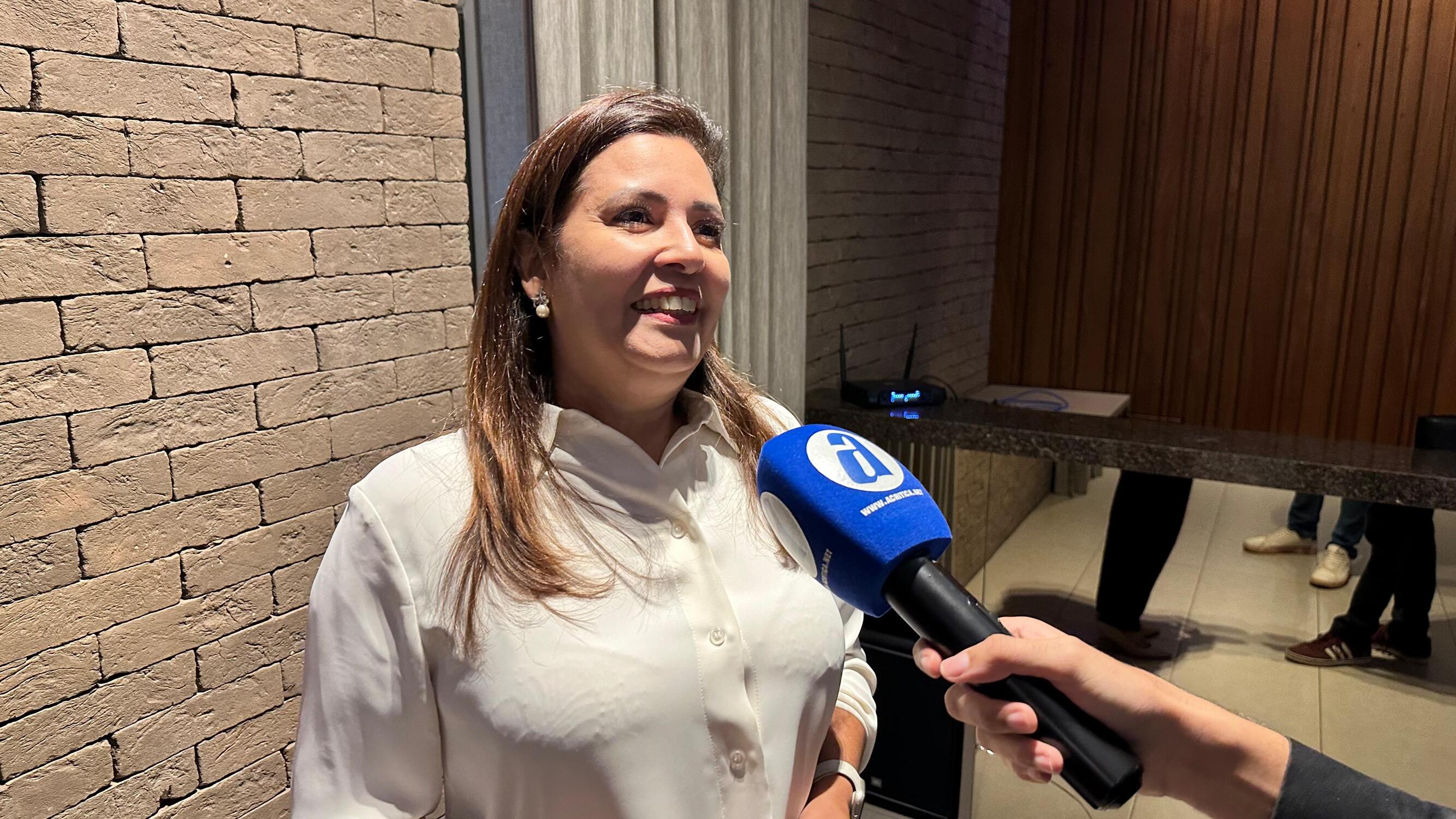 A coordenadora de atendimento territorial do Sebrae, Andréa Barrera de Almeida (Foto: Douglas Vieira)