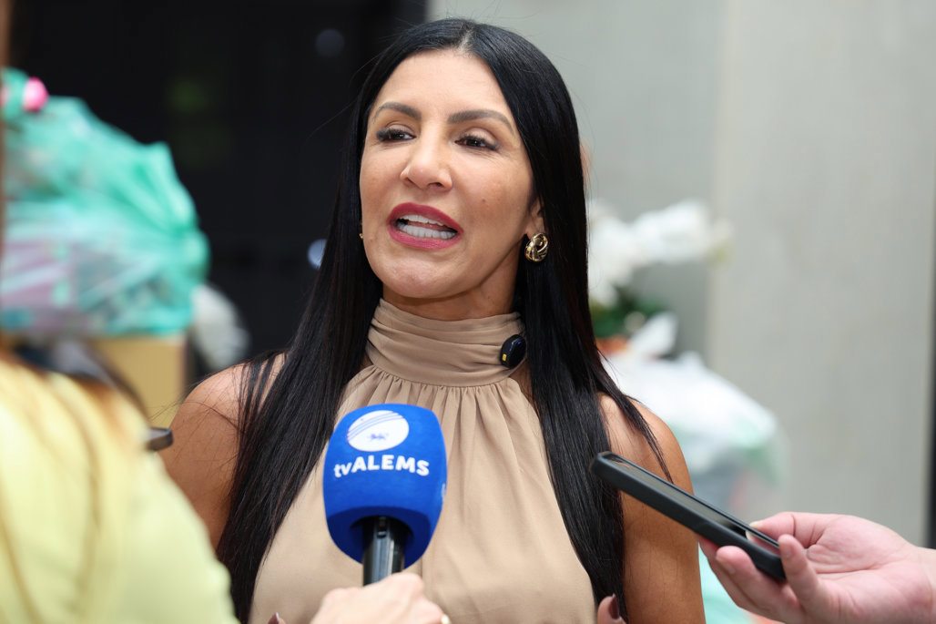 Kátia Claro enfatizou o envolvimento dos setores da ALEMS
