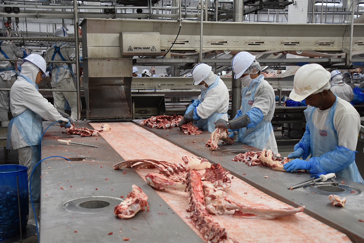Trabalhadores atuam na linha de corte de carne bovina em frigorífico inspecionado.