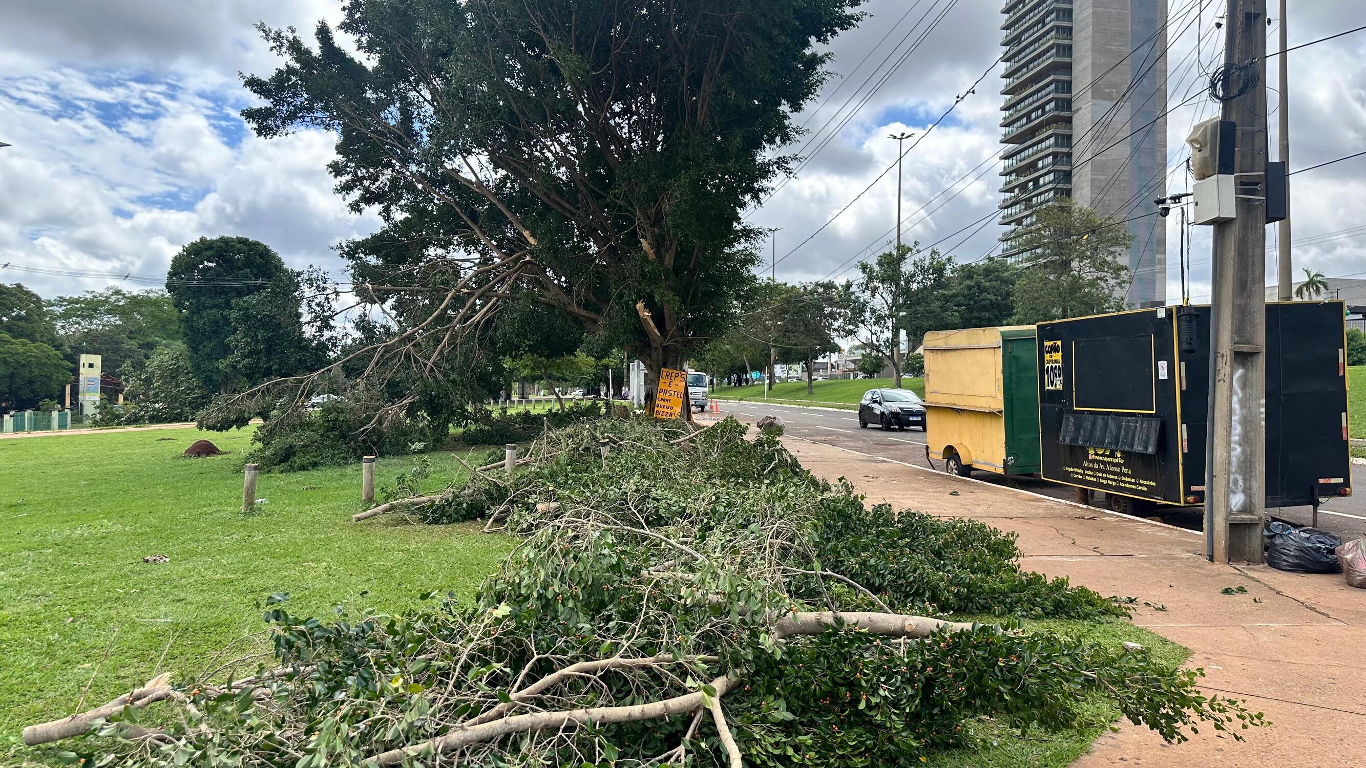 Arvores e diversas estruturas foram destruídas com a tempestade do último domingo (2)