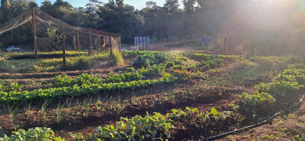 Projeto em escola rural de Ponta Porã usa tecnologias sociais e R$ 1,4 milhão em investimentos para manter jovens no campo em MS.