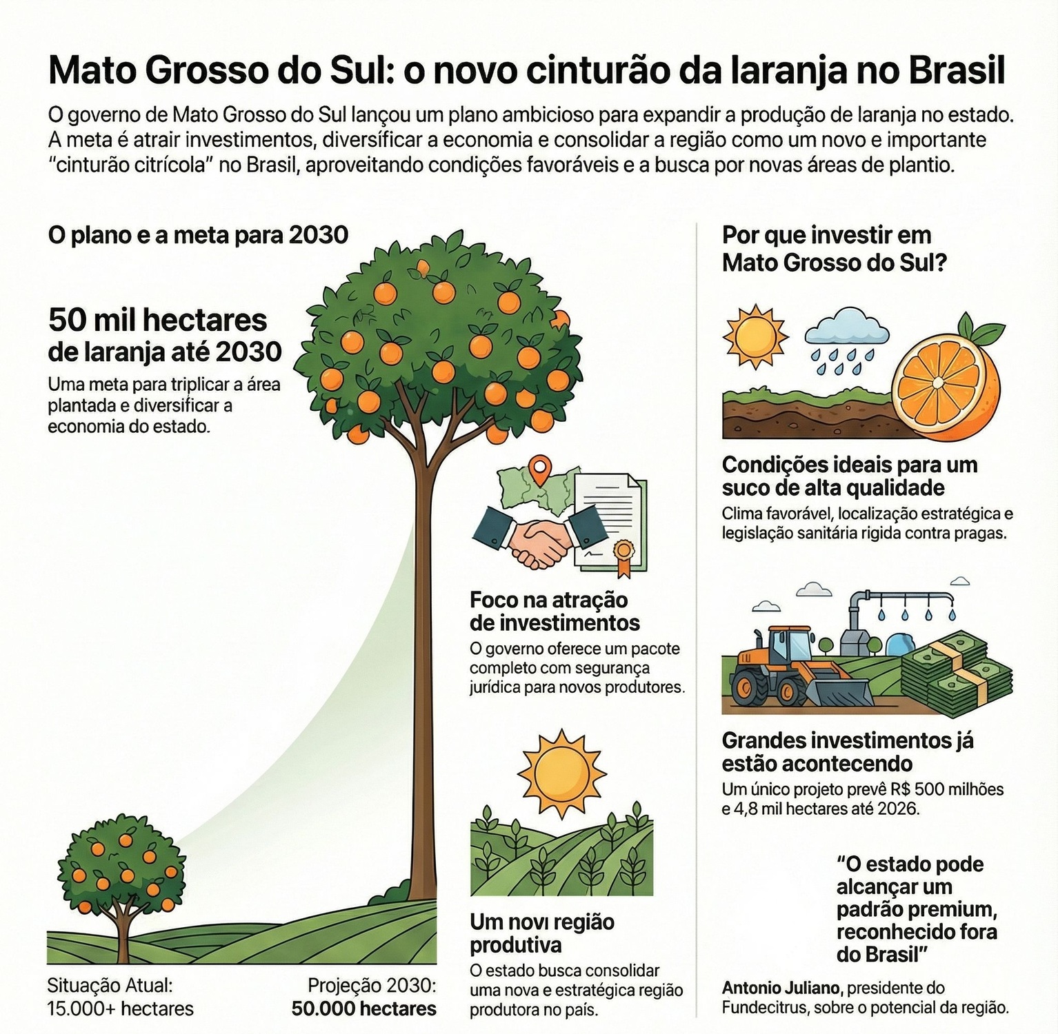 Mato Grosso do Sul quer plantar 50 mil hectares de laranja até 2030 e atrair indústrias para criar novo cinturão citrícola no país.