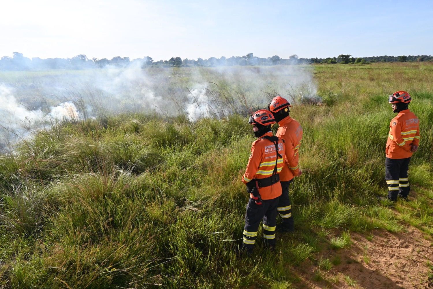 Operação Pantanal 2025 reduziu focos de incêndio e áreas queimadas em MS.