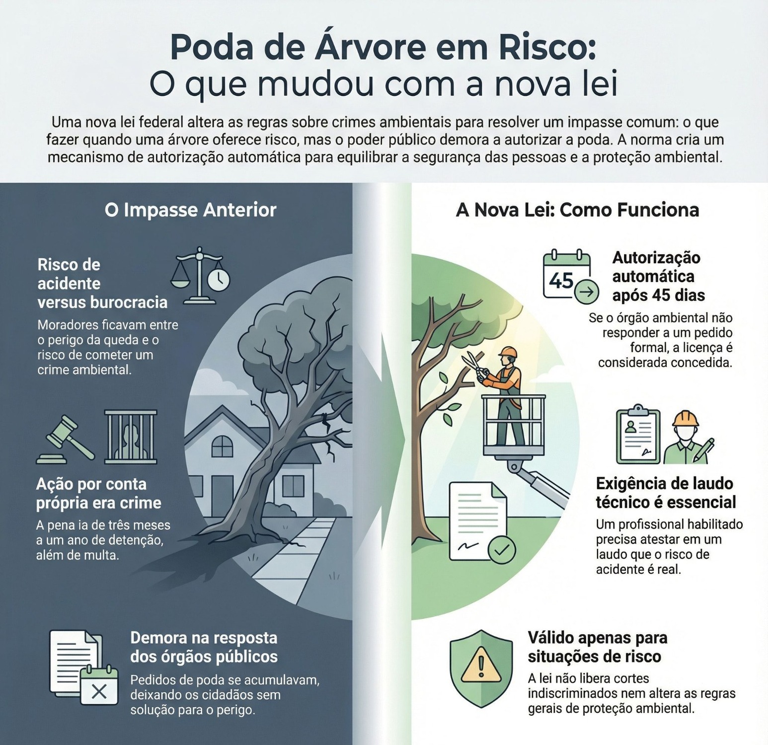Infográfico explica como a nova lei muda as regras da poda de árvores em situação de risco e cria a autorização automática após 45 dias sem resposta do órgão ambiental.