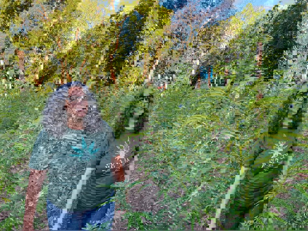 Fátima Carvalho reforça a importância do acesso responsável à cannabis medicinal (Foto: Dragão Produções)