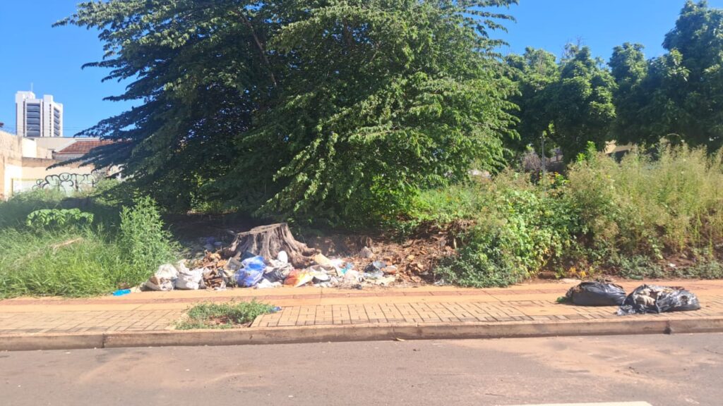 Terreno com acúmulo de lixo