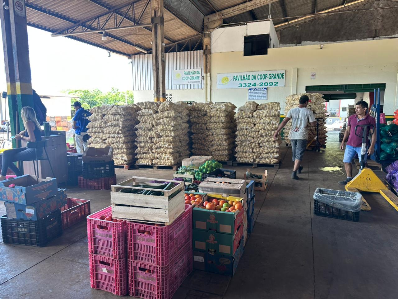 Batata com preço em queda na Ceasa/MS preocupa comerciantes, que enfrentam excesso de oferta e dificuldade para manter a margem de lucro.