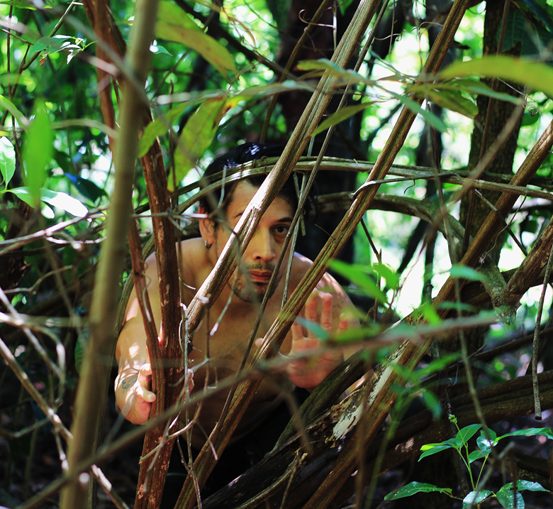 Projeto traz como uma das fontes de inspiração a natureza e as interconexões das plantas