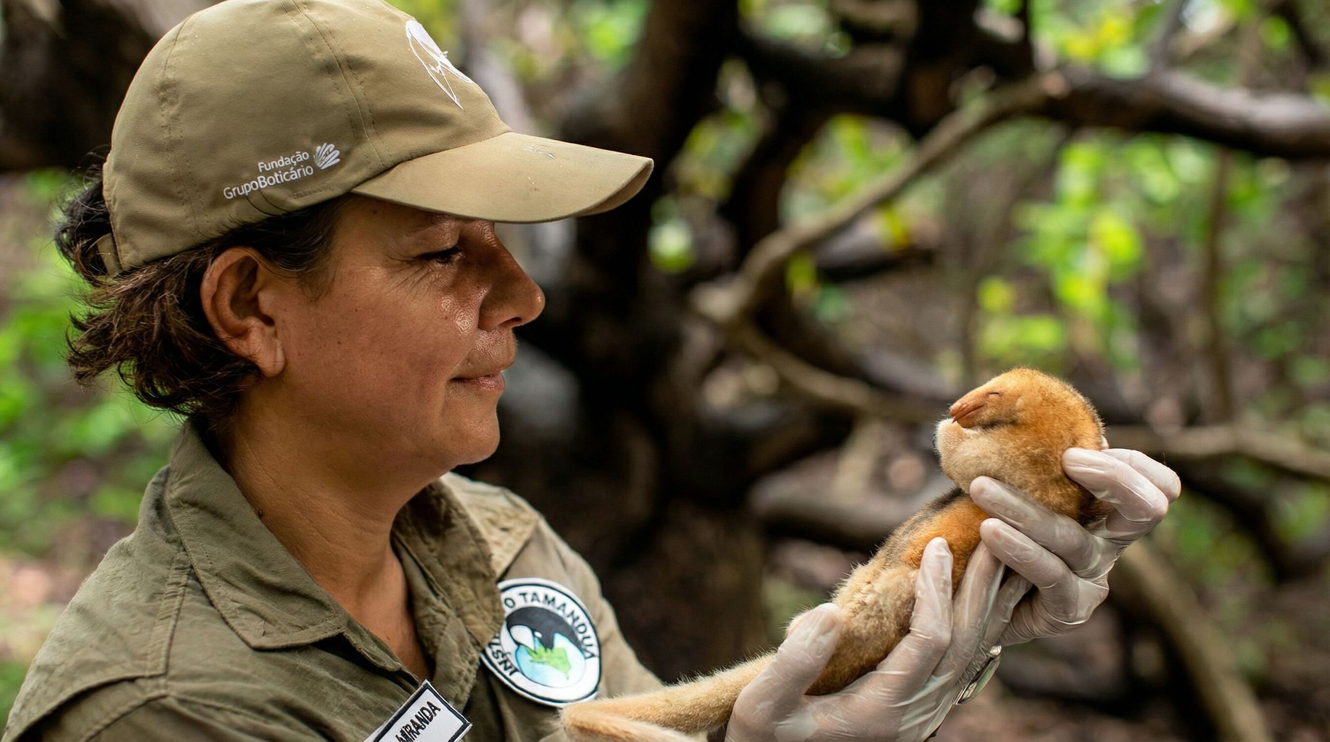 Veterinária segura filhote órfão resgatado no Pantanal, reforçando o trabalho de reabilitação e conservação da fauna silvestre.