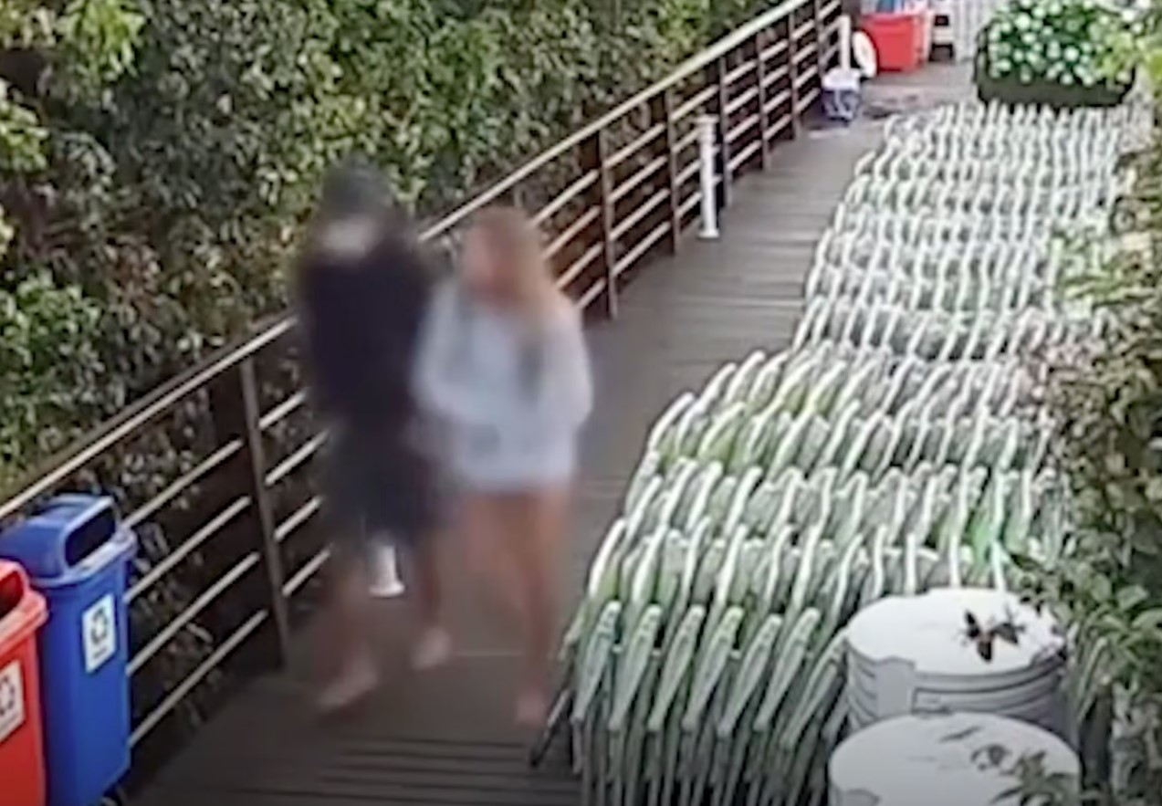 Imagens de câmeras de segurança foram usadas para embasar investigação da Polícia Civil