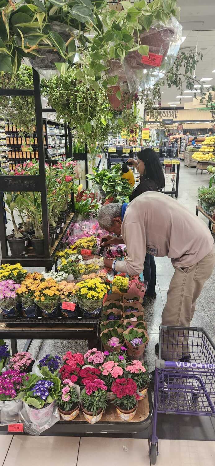 Campanha reforça orientação à população e vistorias para eliminar focos do mosquito.