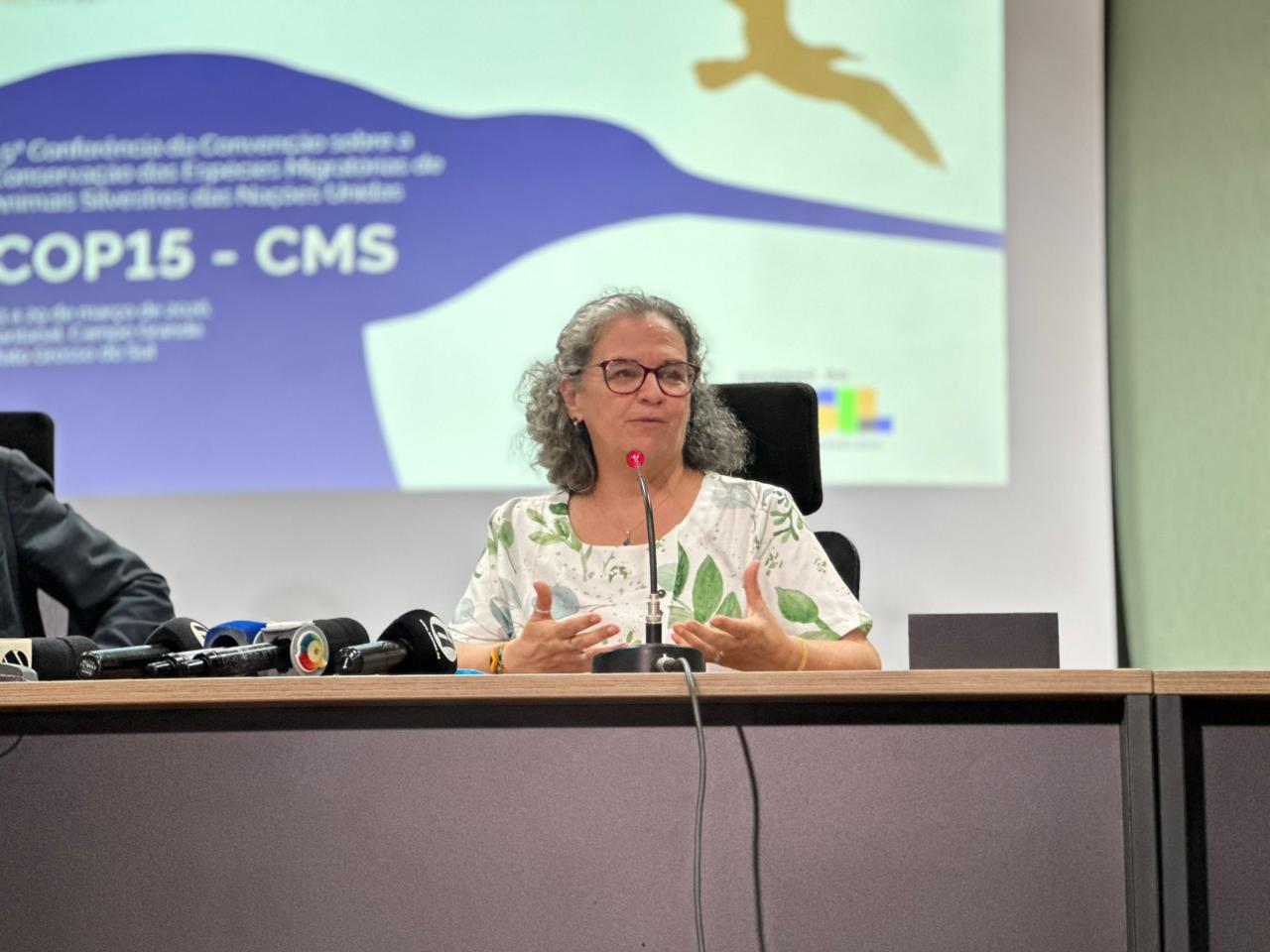 A secretária nacional de Biodiversidade, Florestas e Direito dos Animais, Rita Mesquita.